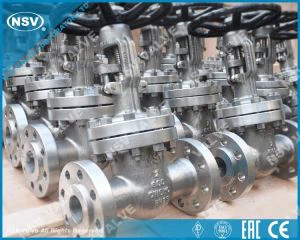 A494 CW6MC Rooj Vag Valve