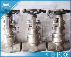 Monel 400 Rooj vag Valve