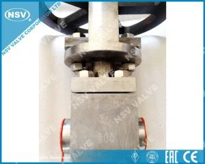 Titanium F21 Rooj Vag Valve